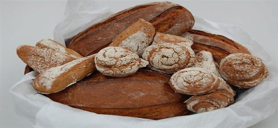 Image for PAINFORT - Pane alla birra