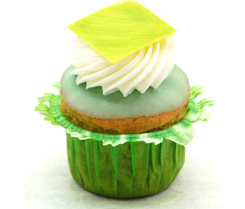 Image for VALBELLA SOFT - Cup Cake variegato nocciola