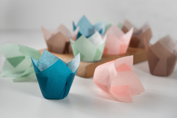 Image for KIT TULIPE
