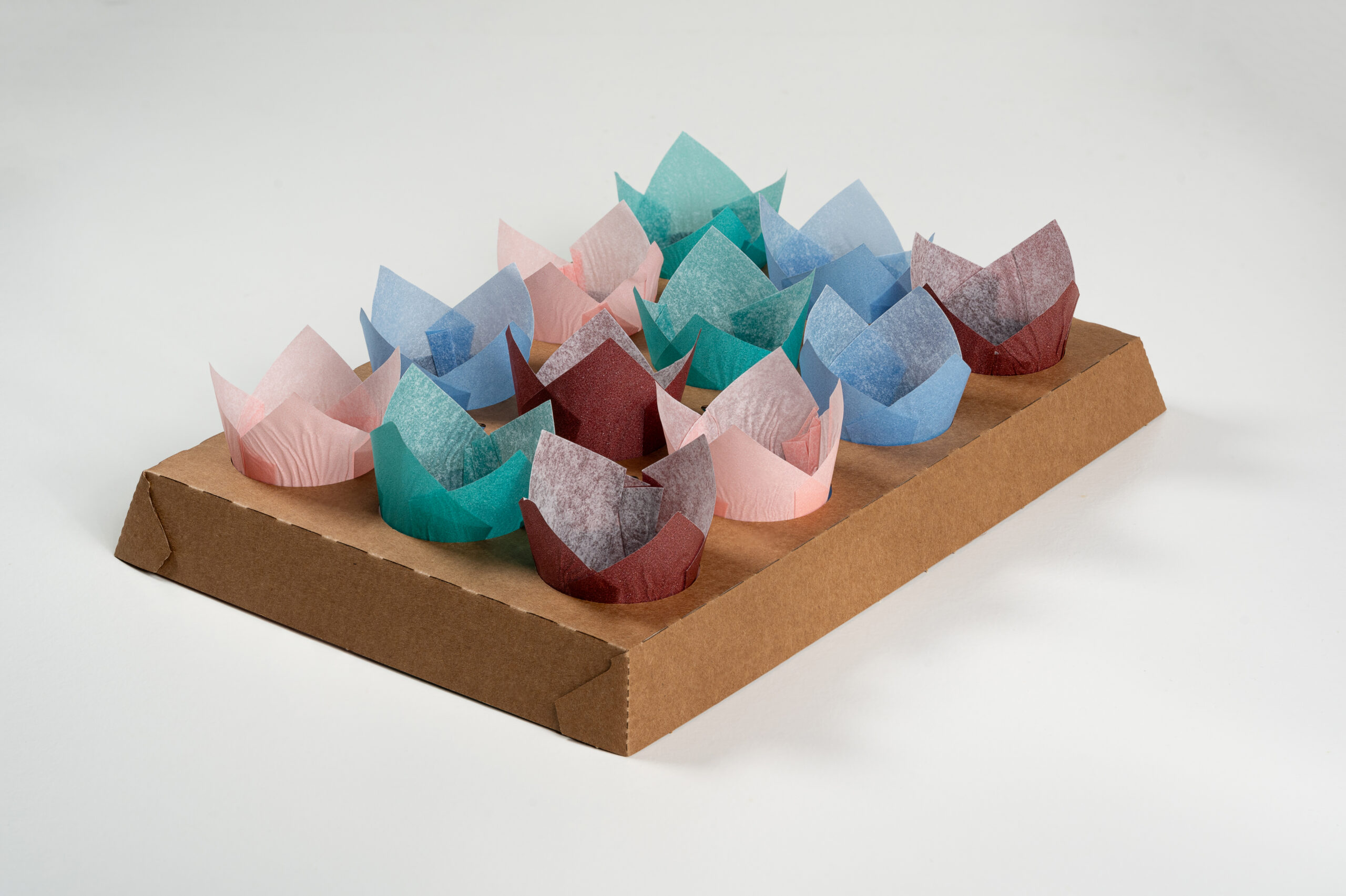 Image for KIT MINI TULIPE