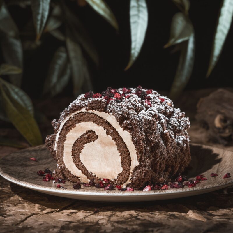 Image for CHOQUIT - Tronchetto di mimosa al cacao